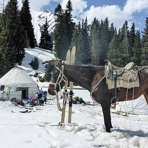 Karakol